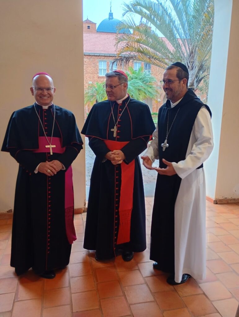 D. Paulo Cezar 8
